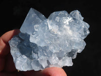 Natural Blue Celestite Crystal Specimens  x 6 From Sakoany, Madagascar - Toprock Gemstones and Minerals 