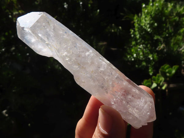 Natural Large Single Quartz Crystals  x 19 From Mpika, Zambia - Toprock Gemstones and Minerals 