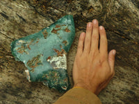 Polished Large Green Mtorolite / Emerald Chrysoprase Plate x 1 From Zimbabwe - TopRock