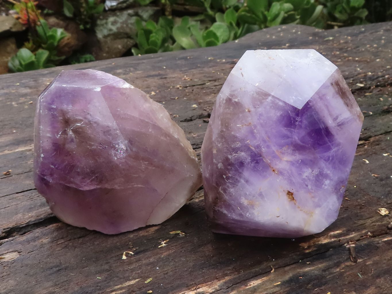 Polished Large Window Amethyst Crystals x 2 From Madagascar