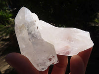 Natural Large Single Quartz Crystals  x 19 From Mpika, Zambia - Toprock Gemstones and Minerals 