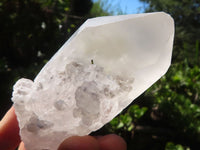 Natural Large Single Quartz Crystals  x 19 From Mpika, Zambia - Toprock Gemstones and Minerals 