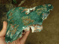 Polished Large Green Mtorolite / Emerald Chrysoprase Plate x 1 From Zimbabwe - TopRock