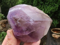 Polished Large Window Amethyst Crystals  x 2 From Madagascar - TopRock