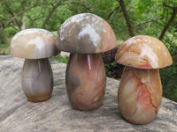 Polished Polychrome / Picasso Jasper Mushrooms  x 6 From Madagascar - TopRock