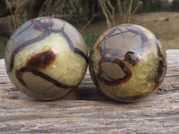Polished Septaria (Calcite & Aragonite) Spheres  x 5 From Madagascar - TopRock