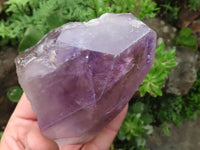 Polished Large Window Amethyst Crystals  x 2 From Madagascar - TopRock