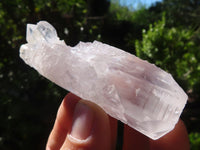 Natural Large Single Quartz Crystals  x 19 From Mpika, Zambia - Toprock Gemstones and Minerals 