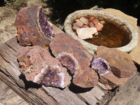 Natural Amethyst In Basalt Geode Specimens  x 4 From Zululand, South Africa - TopRock