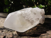 Natural Large Single Quartz Crystals  x 19 From Mpika, Zambia - Toprock Gemstones and Minerals 