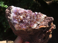 Natural Amethyst In Basalt Geode Specimens  x 4 From Zululand, South Africa - TopRock