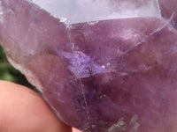 Polished Large Window Amethyst Crystals  x 2 From Madagascar - TopRock