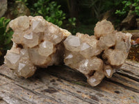 Natural Cascading Smokey White Phantom Quartz Clusters  x 2 From Luena, Congo - TopRock