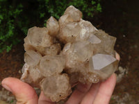 Natural Cascading Smokey White Phantom Quartz Clusters  x 2 From Luena, Congo - TopRock