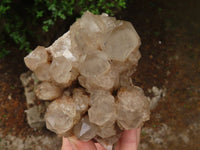 Natural Cascading Smokey White Phantom Quartz Clusters  x 2 From Luena, Congo - TopRock