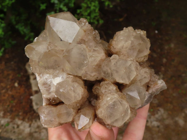 Natural Cascading Smokey White Phantom Quartz Clusters  x 2 From Luena, Congo - TopRock