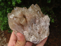 Natural Cascading Smokey White Phantom Quartz Clusters  x 2 From Luena, Congo - TopRock