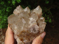 Natural Cascading Smokey White Phantom Quartz Clusters  x 2 From Luena, Congo - TopRock