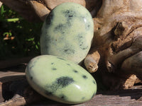 Polished Large Leopard Stone (Serpentine) Gallets x 12 From Zimbabwe - TopRock