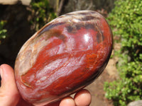 Polished Red Podocarpus Petrified Wood Standing Free Forms x 3 From Mahajanga, Madagascar