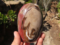 Polished Red Podocarpus Petrified Wood Standing Free Forms x 3 From Mahajanga, Madagascar