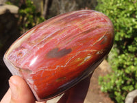 Polished Red Podocarpus Petrified Wood Standing Free Forms x 3 From Mahajanga, Madagascar