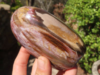 Polished Red Podocarpus Petrified Wood Standing Free Forms x 3 From Mahajanga, Madagascar