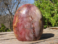 Polished Red Podocarpus Petrified Wood Standing Free Forms x 3 From Mahajanga, Madagascar