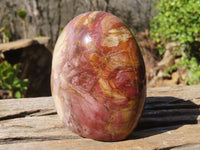 Polished Red Podocarpus Petrified Wood Standing Free Forms x 3 From Mahajanga, Madagascar