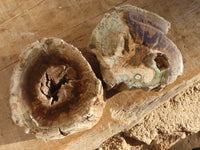 Polished Petrified Wood Branch Pieces  x 4 From Zimbabwe - Toprock Gemstones and Minerals 