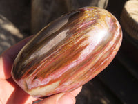 Polished Red Podocarpus Petrified Wood Standing Free Forms x 3 From Mahajanga, Madagascar