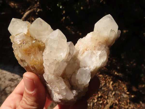 Natural Pineapple Quartz Crystal Clusters  x 6 From Madagascar