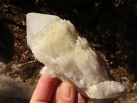 Natural Pineapple Quartz Crystal Clusters  x 6 From Madagascar