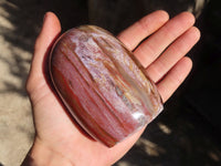 Polished Red Podocarpus Petrified Wood Standing Free Forms x 3 From Mahajanga, Madagascar