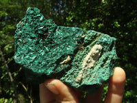 Natural Chatoyant Silky Malachite Specimens  x 6 From Kasompe, Congo - TopRock