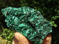 Natural Chatoyant Silky Malachite Specimens  x 6 From Kasompe, Congo - TopRock