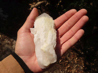 Natural Pineapple Quartz Crystal Clusters  x 6 From Madagascar