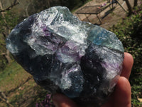 Natural Selected Watermelon Fluorite Cobbed Pieces x 5 From Uis, Namibia - TopRock