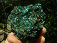 Natural Chatoyant Silky Malachite Specimens  x 6 From Kasompe, Congo - TopRock