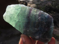 Natural Selected Watermelon Fluorite Cobbed Pieces x 5 From Uis, Namibia - TopRock