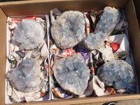 Natural Blue Celestite Crystal Specimens  x 6 From Sakoany, Madagascar