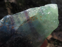 Natural Selected Watermelon Fluorite Cobbed Pieces x 5 From Uis, Namibia - TopRock