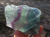 Natural Selected Watermelon Fluorite Cobbed Pieces x 5 From Uis, Namibia - TopRock