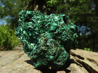 Natural Chatoyant Silky Malachite Specimens  x 6 From Kasompe, Congo - TopRock