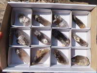 Natural Clear Smokey Quartz Crystals  x 12 From Malawi