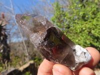 Natural Clear Smokey Quartz Crystals  x 12 From Malawi