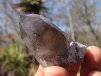 Natural Clear Smokey Quartz Crystals  x 12 From Malawi