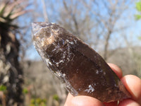 Natural Clear Smokey Quartz Crystals  x 12 From Malawi