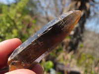 Natural Clear Smokey Quartz Crystals  x 12 From Malawi