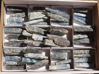 Natural Single Blue Kyanite Crystals  x 48 From Zimbabwe